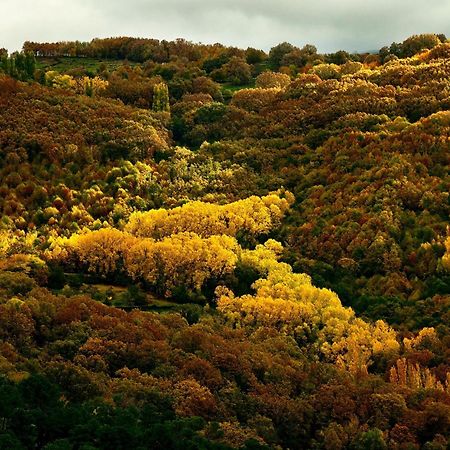 Aroma De Primavera En Casas Rurales Acebuche Casas del Monte Exteriér fotografie