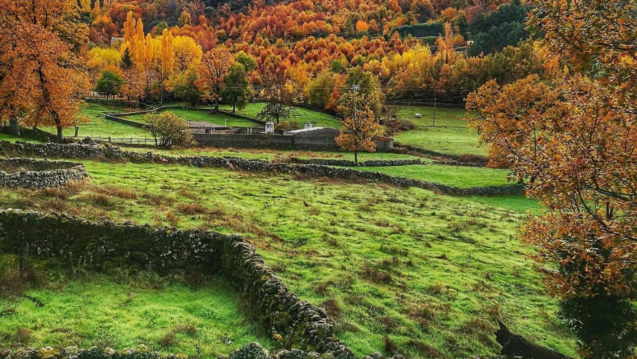Aroma De Primavera En Casas Rurales Acebuche Casas del Monte Exteriér fotografie