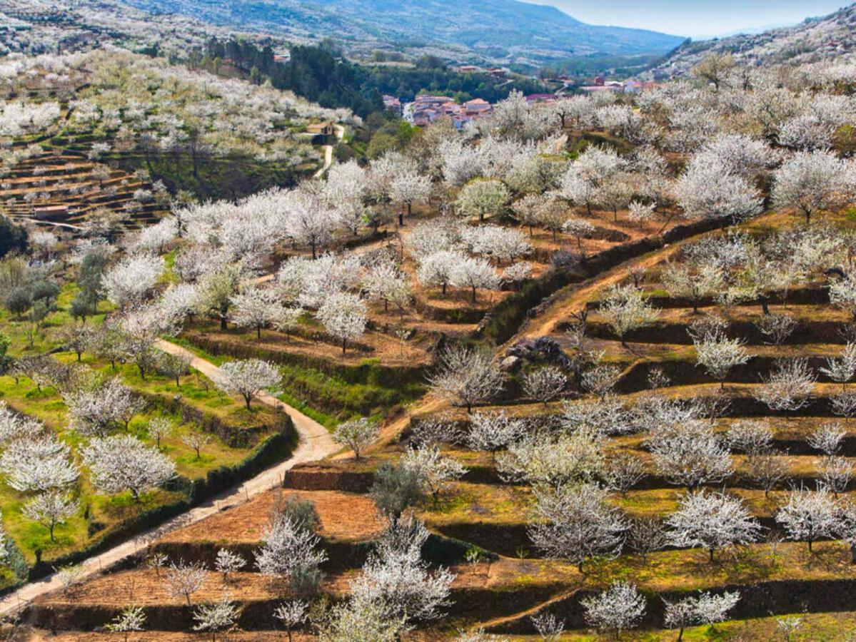 Aroma De Primavera En Casas Rurales Acebuche Casas del Monte Exteriér fotografie