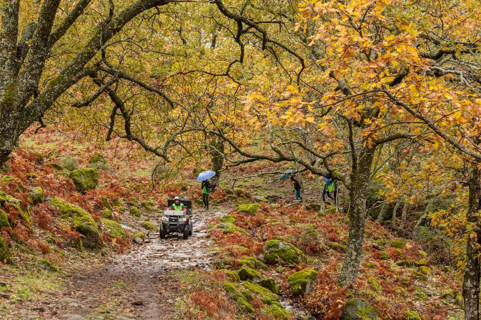 Aroma De Primavera En Casas Rurales Acebuche Casas del Monte Exteriér fotografie