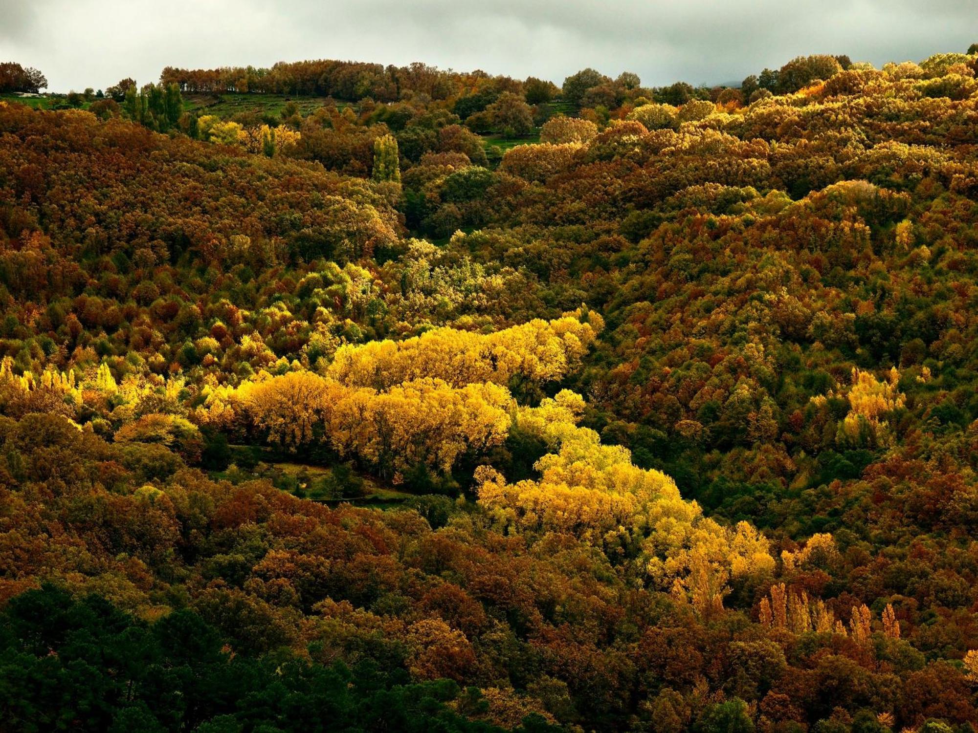 Aroma De Primavera En Casas Rurales Acebuche Casas del Monte Exteriér fotografie