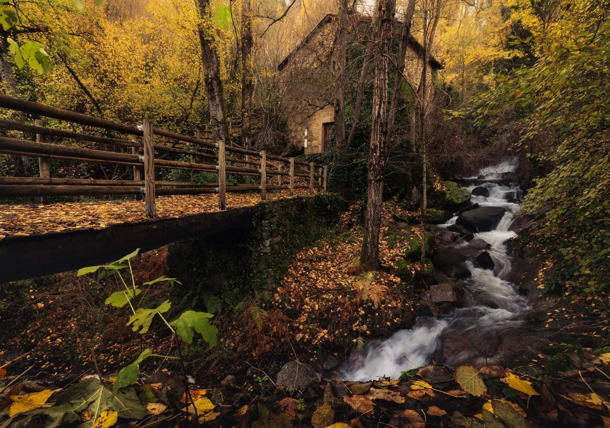 Aroma De Primavera En Casas Rurales Acebuche Casas del Monte Exteriér fotografie