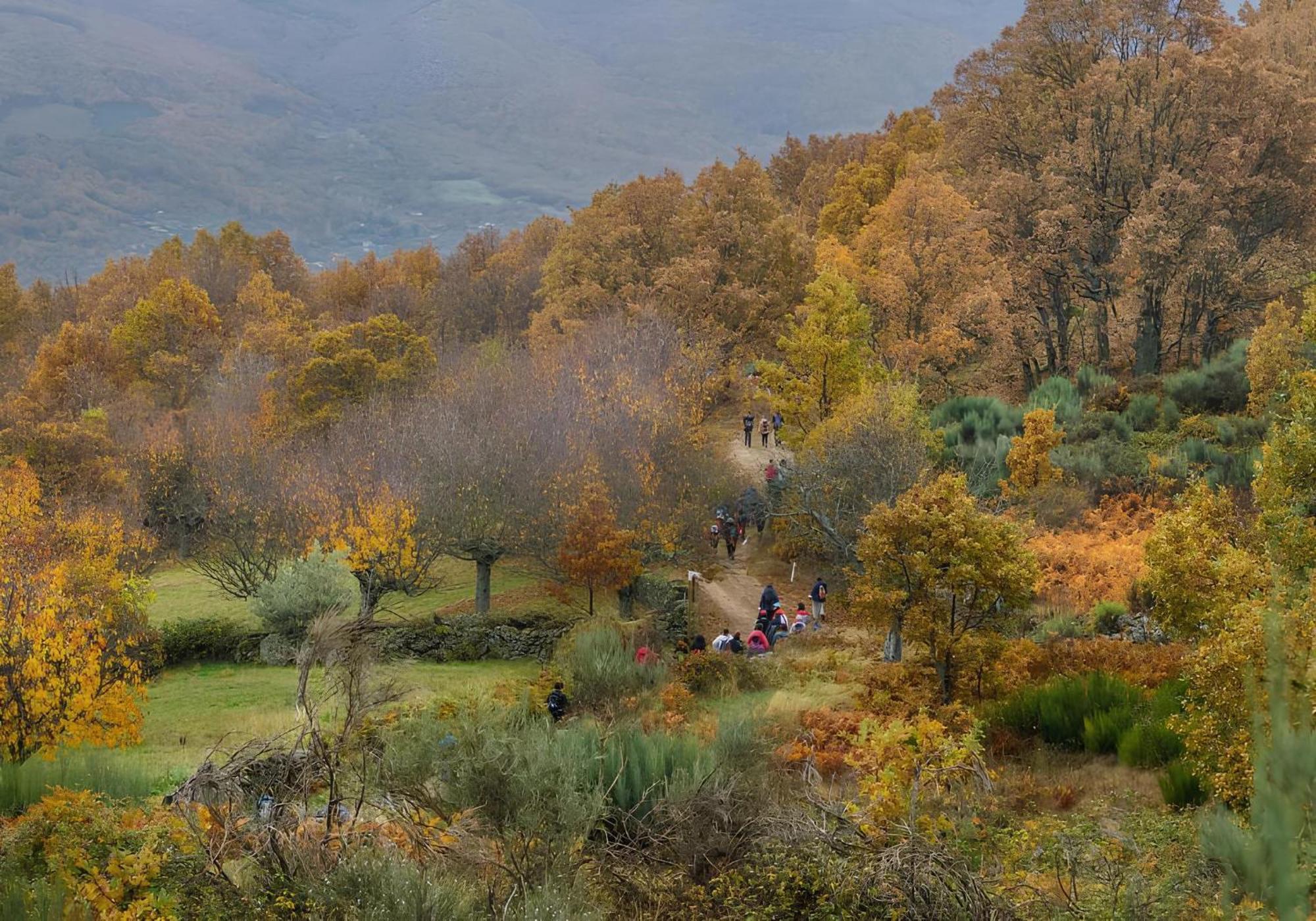 Aroma De Primavera En Casas Rurales Acebuche Casas del Monte Exteriér fotografie