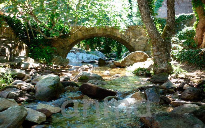 Aroma De Primavera En Casas Rurales Acebuche Casas del Monte Exteriér fotografie